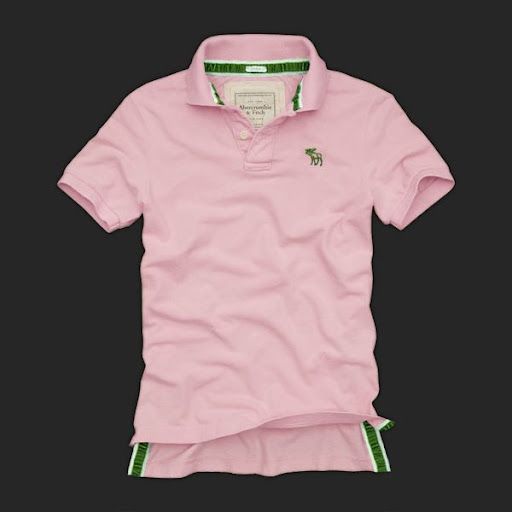 Camisa Polo Hollister