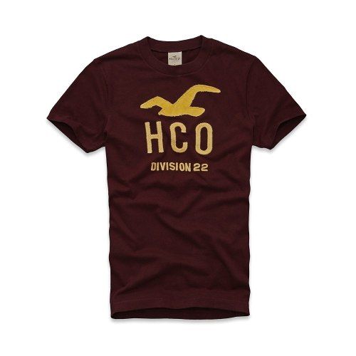 Camisa Hollister