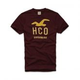 Camisa Hollister