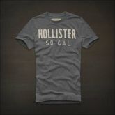 Camisa Hollister