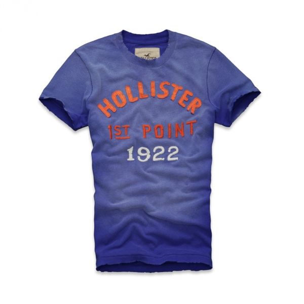 Camisa Hollister