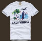 Camisa Hollister