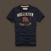 Camisa Hollister